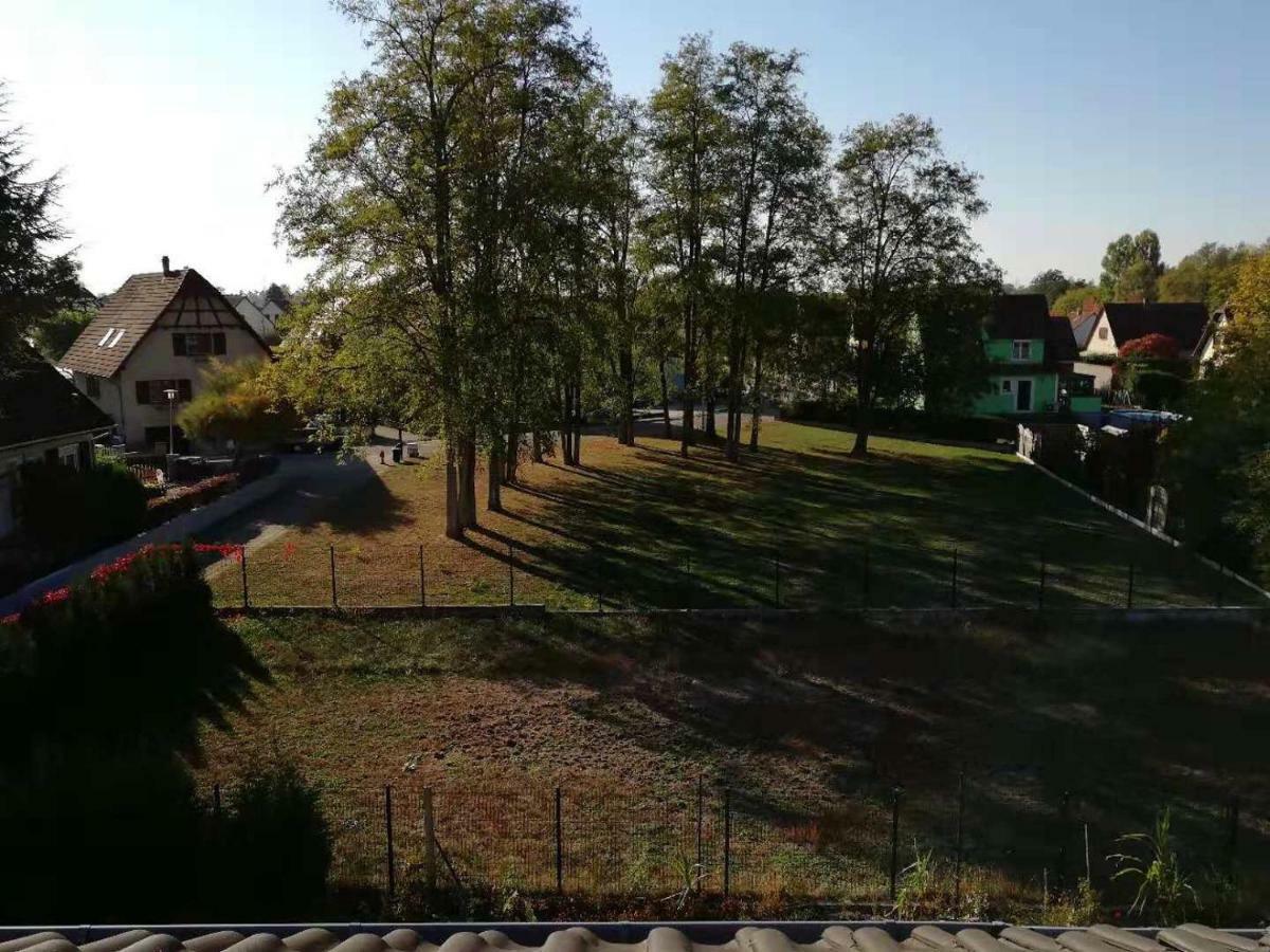 Appart Les Cerises Entre Strasbourg Et Haguenau Bischwiller Bagian luar foto