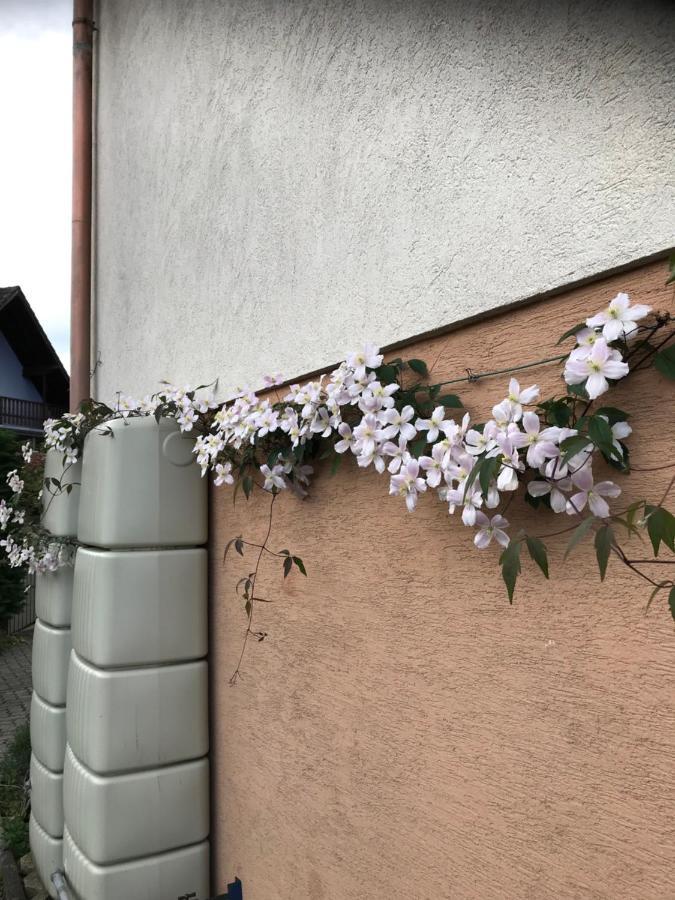Appart Les Cerises Entre Strasbourg Et Haguenau Bischwiller Bagian luar foto